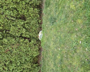 Popravak oštećene cijevi od kanalizacije